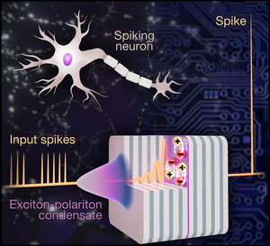 An artificial polariton neuron as a step towards a photonic system that mimics the functioning of the human brain