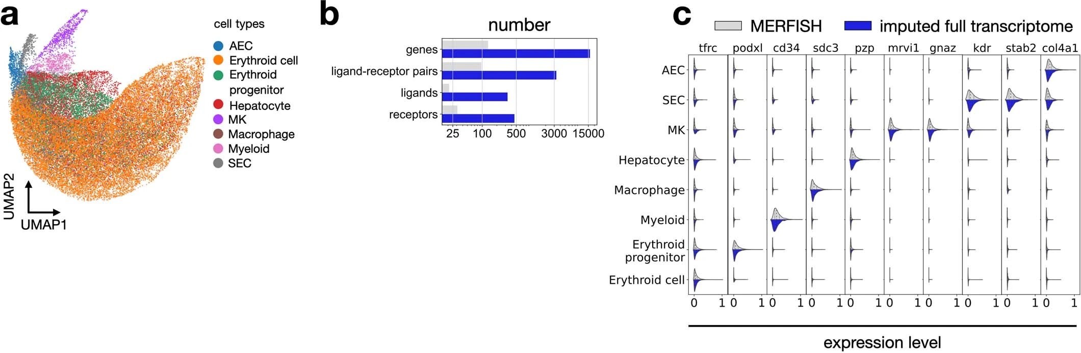 Node-centric expression models (NCEM): graphical neural networks reveal communication between cells