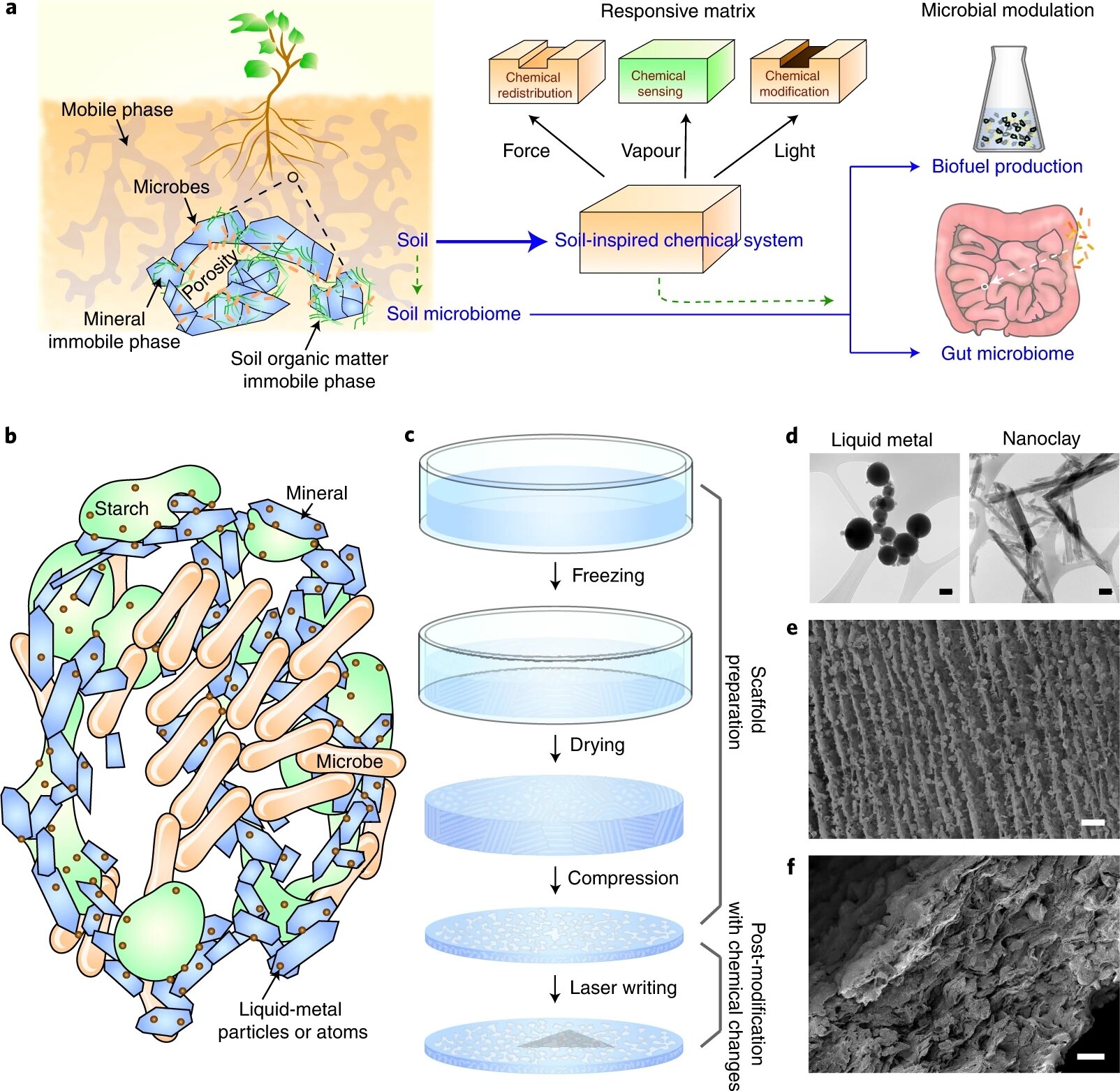 Researchers design a multifunctional soil-inspired chemical system