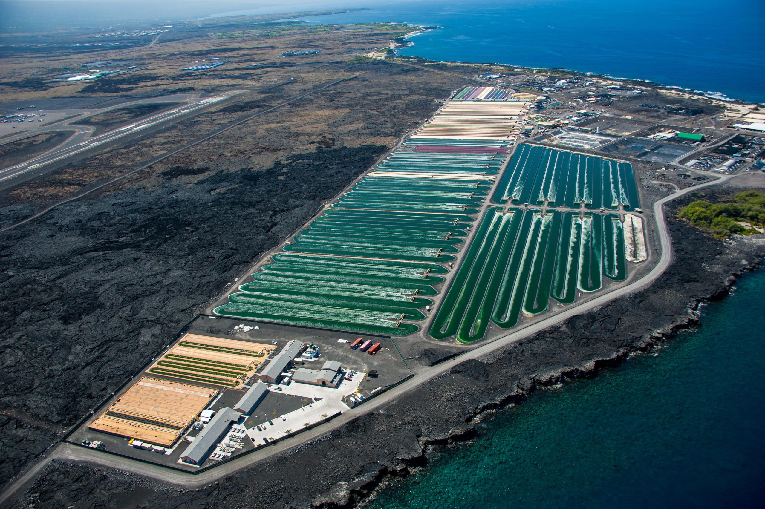 Seaweed foods go global: scaling up marine aquaculture to sustainably produce nutritious foods