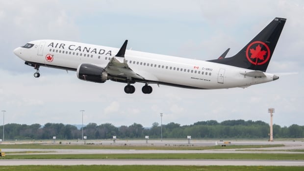 Air Canada apologizes for not letting blind woman fly with guide dog |  Radio-Canada News