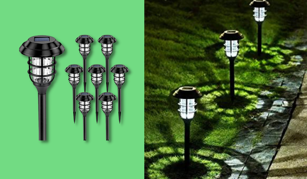 Amazon has slashed prices of its popular solar lights - starting at $22, today only