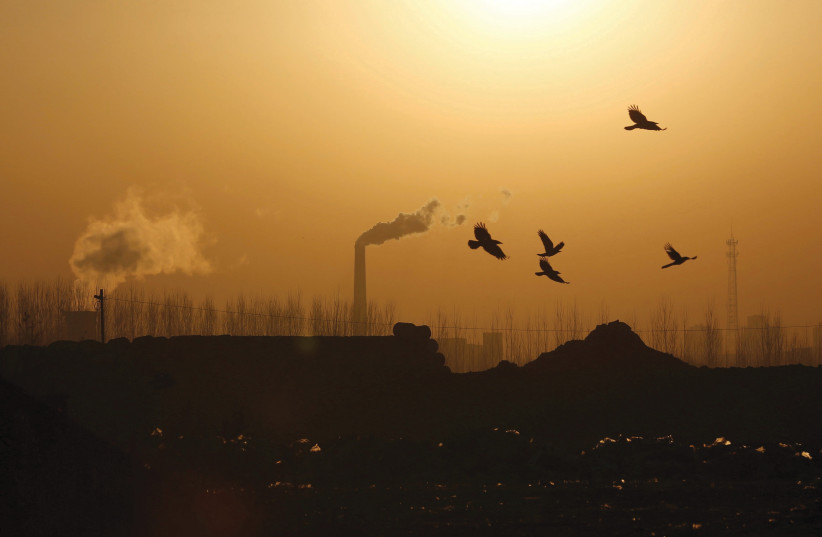 BIRDS FLY near factory emissions n Tangshan, China, in 2016. Waskow emphasizes the importance of using religion to fight climate change (photo credit: KIM KYUNG-HOON/FILE PHOTO/ REUTERS)