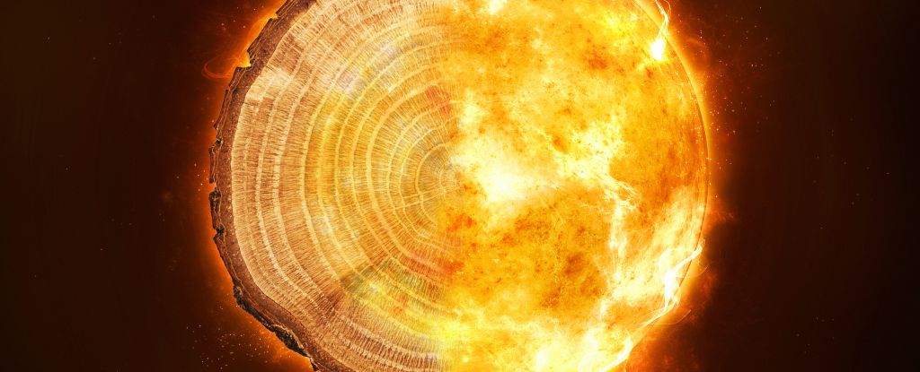 Tree rings tell of a mysterious cosmic storm that strikes every thousand years