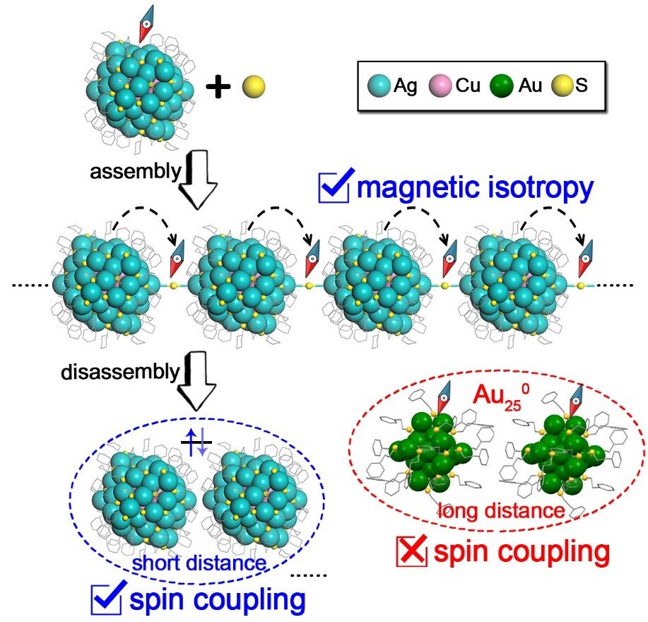 Spin transfer and distance-dependent spin coupling in linearly assembled Ag-Cu nanoclusters