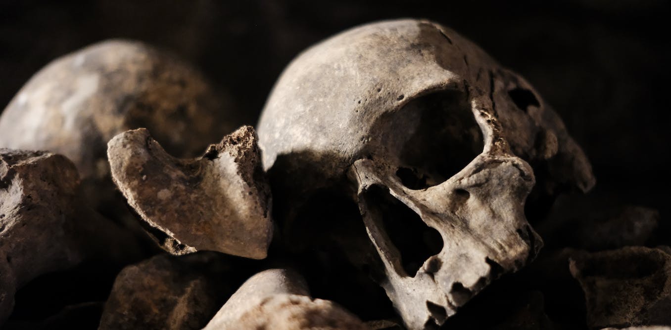 Ancient DNA reveals hidden history of human adaptation