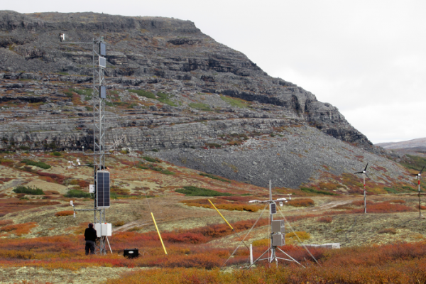 Vegetation regulates energy exchanges in the Arctic