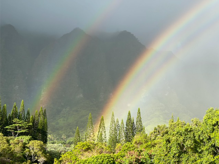 What happens to rainbows when the planet's climate changes?